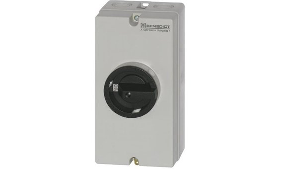 TARU AC-Lasttrennschalter, LTS25 PFLH4 A4 + PE